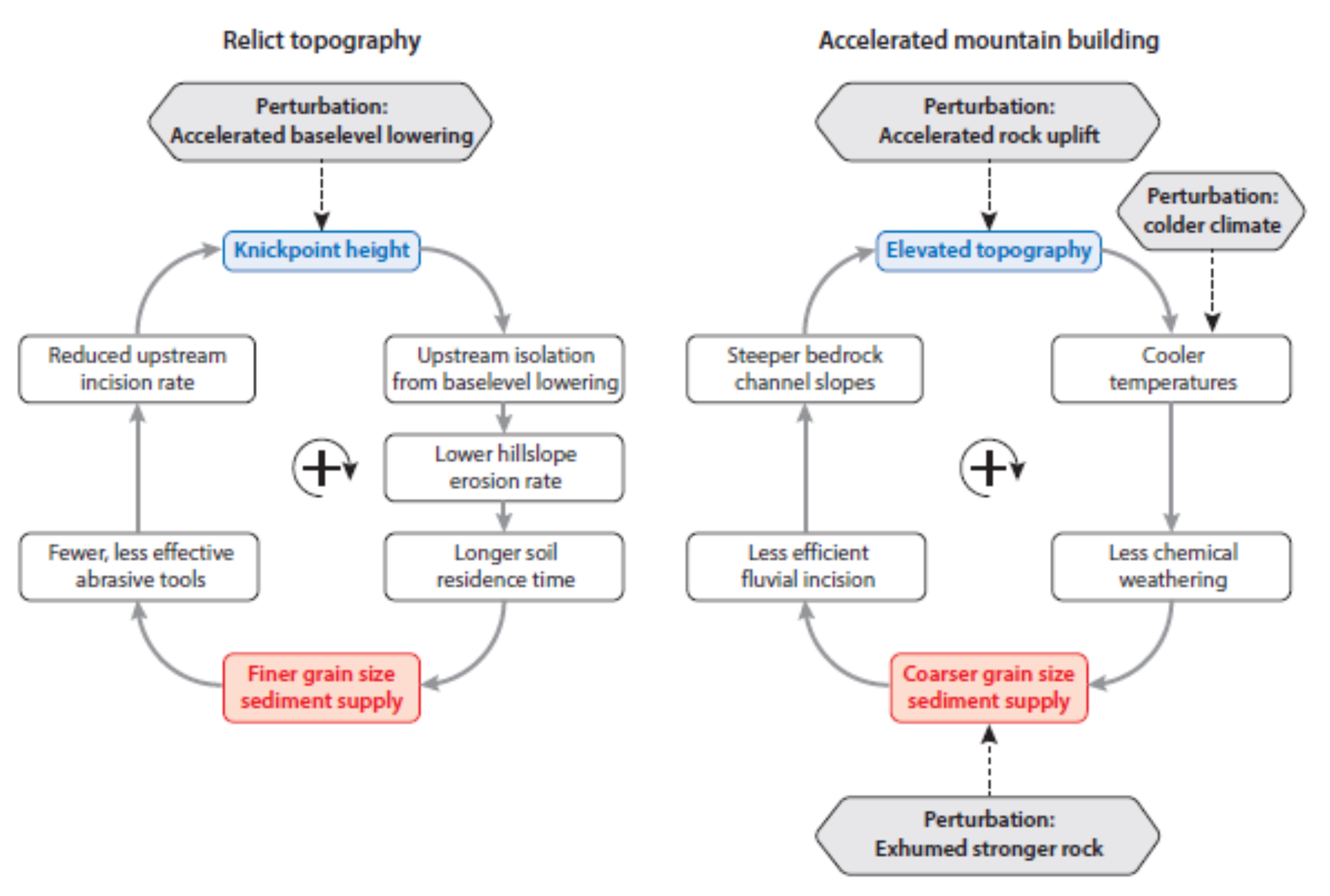 Positive feedbacks linking grain size and topographic evolution. (Sklar, 2024, Grain Size in Landscapes, https://doi.org/10.1146/annurev-earth-052623-
075856)